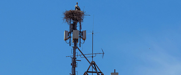Mobiiliandmetel põhinev rahvastikustatistika kaardirakendus