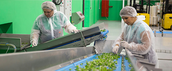 Majanduspoliitiliste meetmete mõjud ettevõtete tegevusedukusele